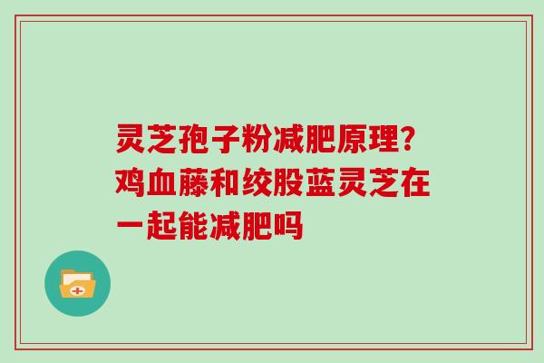 灵芝孢子粉原理？鸡藤和绞股蓝灵芝在一起能吗