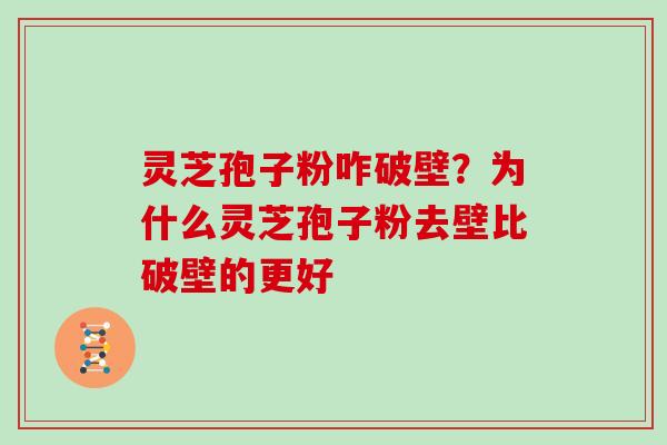 灵芝孢子粉咋破壁？为什么灵芝孢子粉去壁比破壁的更好