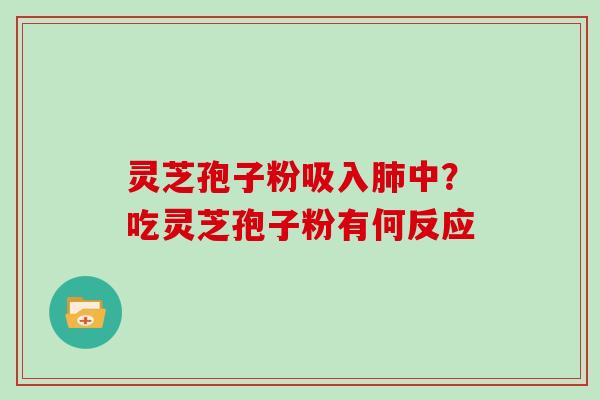 灵芝孢子粉吸入中？吃灵芝孢子粉有何反应