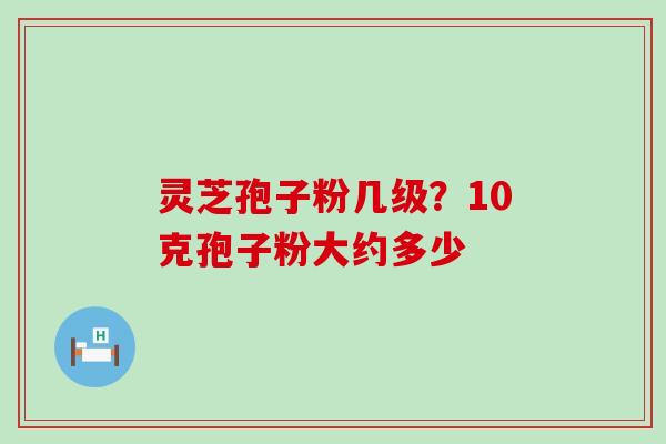 灵芝孢子粉几级？10克孢子粉大约多少