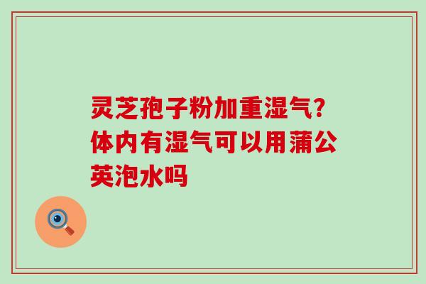 灵芝孢子粉加重湿气？体内有湿气可以用蒲公英泡水吗