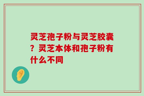 灵芝孢子粉与灵芝胶囊？灵芝本体和孢子粉有什么不同