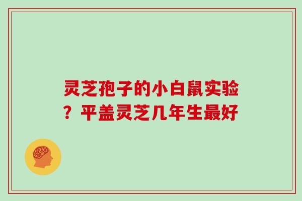 灵芝孢子的小白鼠实验？平盖灵芝几年生好