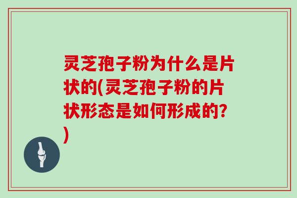 灵芝孢子粉为什么是片状的(灵芝孢子粉的片状形态是如何形成的？)