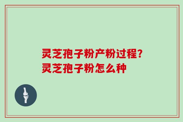 灵芝孢子粉产粉过程？灵芝孢子粉怎么种