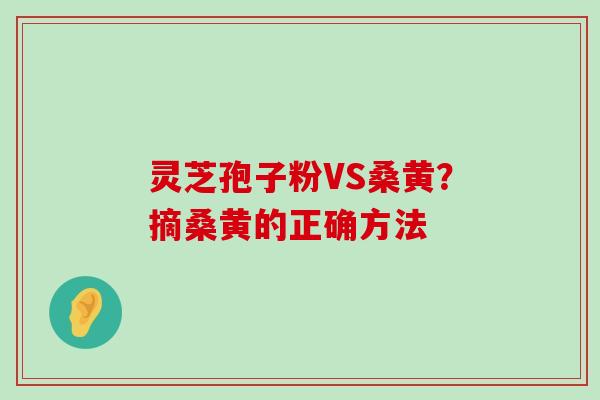 灵芝孢子粉VS桑黄？摘桑黄的正确方法