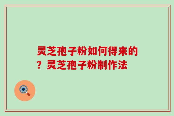 灵芝孢子粉如何得来的？灵芝孢子粉制作法