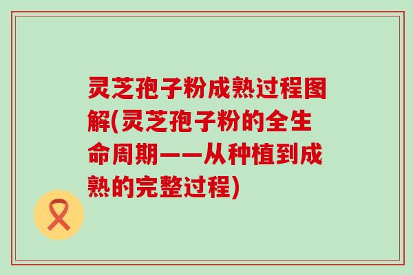 灵芝孢子粉成熟过程图解(灵芝孢子粉的全生命周期——从种植到成熟的完整过程)