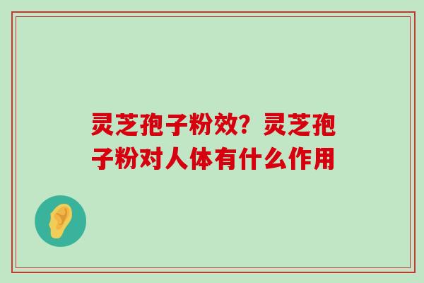 灵芝孢子粉效？灵芝孢子粉对人体有什么作用