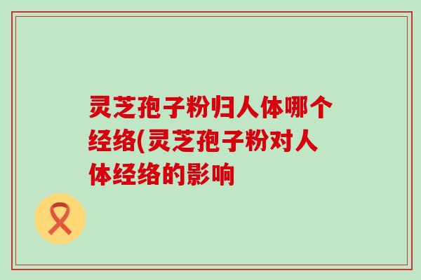 灵芝孢子粉归人体哪个经络(灵芝孢子粉对人体经络的影响