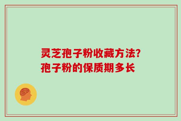 灵芝孢子粉收藏方法？孢子粉的保质期多长