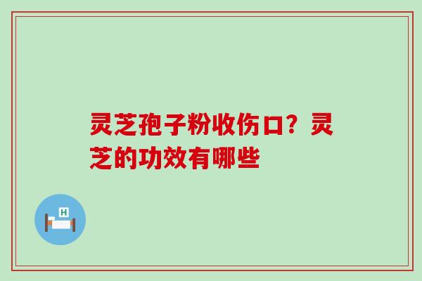 灵芝孢子粉收伤口？灵芝的功效有哪些