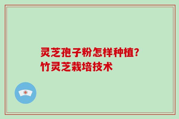 灵芝孢子粉怎样种植？竹灵芝栽培技术