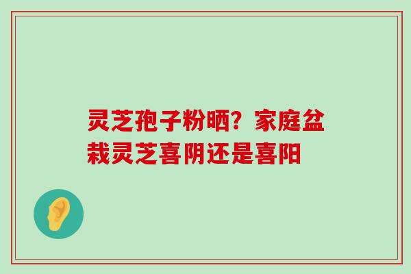 灵芝孢子粉晒？家庭盆栽灵芝喜阴还是喜阳