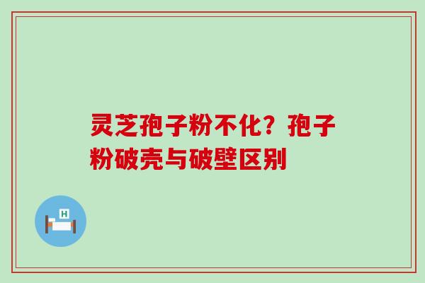 灵芝孢子粉不化？孢子粉破壳与破壁区别