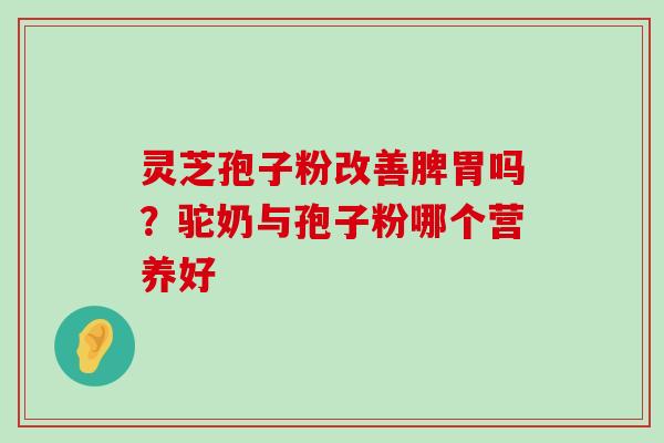 灵芝孢子粉改善脾胃吗？驼奶与孢子粉哪个营养好