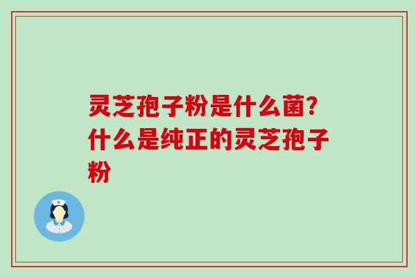 灵芝孢子粉是什么菌？什么是纯正的灵芝孢子粉