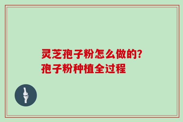 灵芝孢子粉怎么做的？孢子粉种植全过程