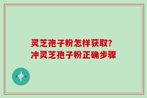 灵芝孢子粉怎样获取？冲灵芝孢子粉正确步骤