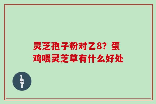 灵芝孢子粉对乙8？蛋鸡喂灵芝草有什么好处