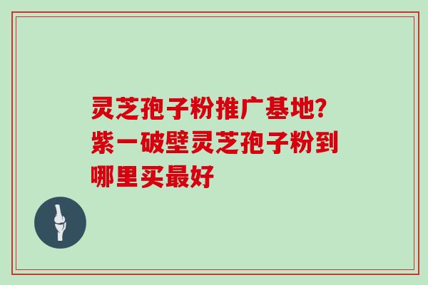 灵芝孢子粉推广基地？紫一破壁灵芝孢子粉到哪里买好