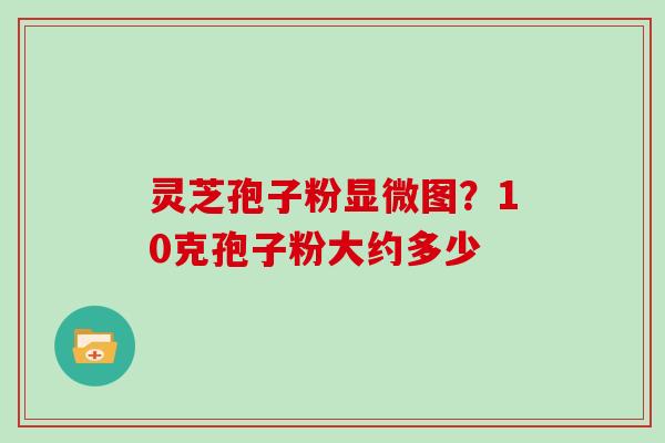 灵芝孢子粉显微图？10克孢子粉大约多少