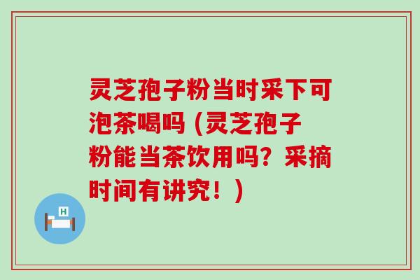 灵芝孢子粉当时采下可泡茶喝吗 (灵芝孢子粉能当茶饮用吗？采摘时间有讲究！)