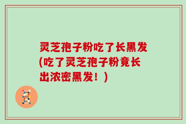 灵芝孢子粉吃了长黑发(吃了灵芝孢子粉竟长出浓密黑发！)