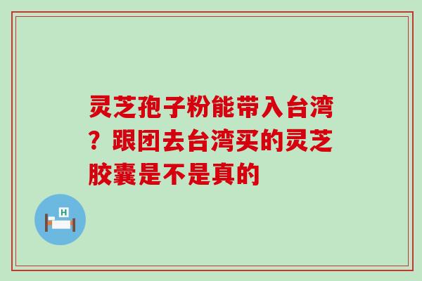 灵芝孢子粉能带入台湾？跟团去台湾买的灵芝胶囊是不是真的