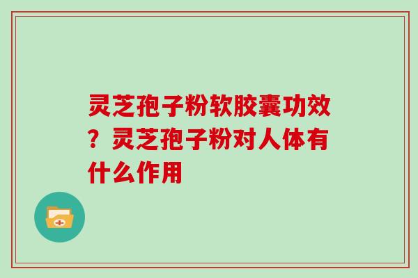 灵芝孢子粉软胶囊功效？灵芝孢子粉对人体有什么作用