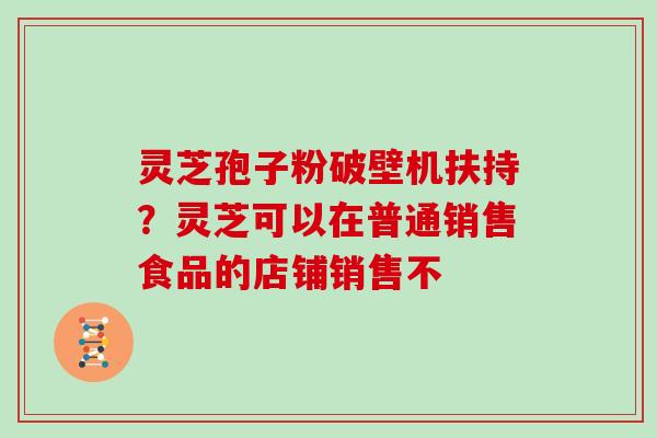 灵芝孢子粉破壁机扶持？灵芝可以在普通销售食品的店铺销售不