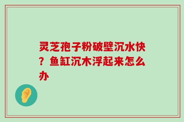 灵芝孢子粉破壁沉水快？鱼缸沉木浮起来怎么办