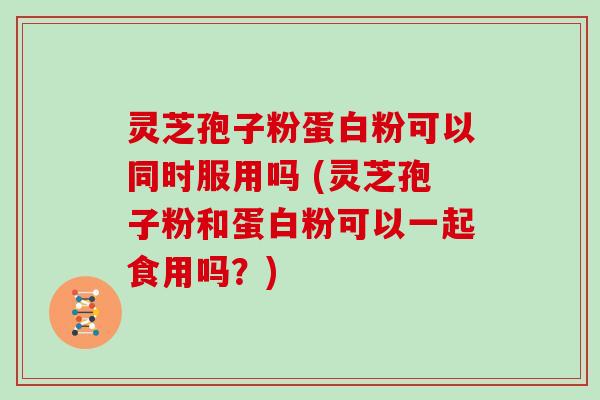 灵芝孢子粉蛋白粉可以同时服用吗 (灵芝孢子粉和蛋白粉可以一起食用吗？)