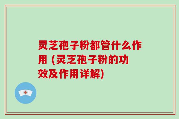 灵芝孢子粉都管什么作用 (灵芝孢子粉的功效及作用详解)