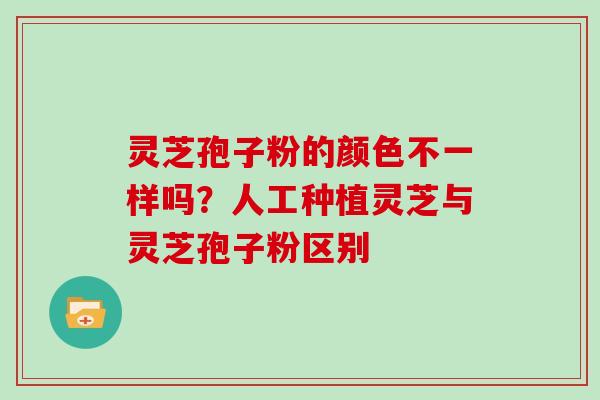 灵芝孢子粉的颜色不一样吗？人工种植灵芝与灵芝孢子粉区别