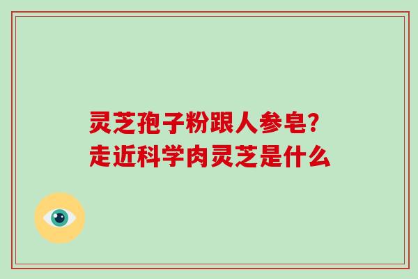 灵芝孢子粉跟人参皂？走近科学肉灵芝是什么