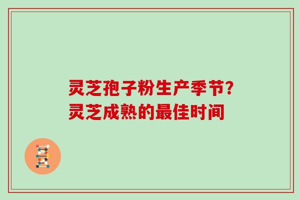 灵芝孢子粉生产季节？灵芝成熟的佳时间