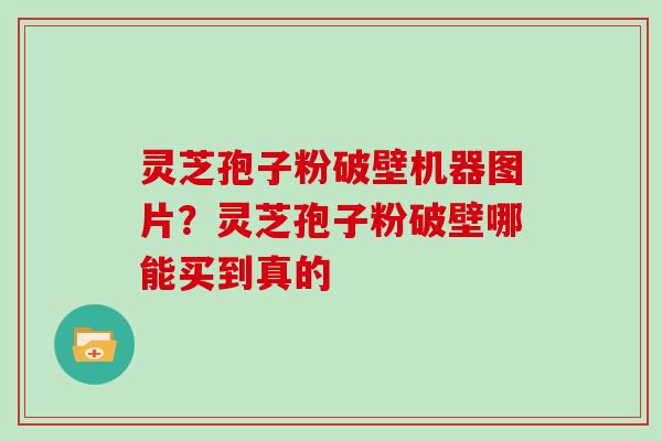 灵芝孢子粉破壁机器图片？灵芝孢子粉破壁哪能买到真的