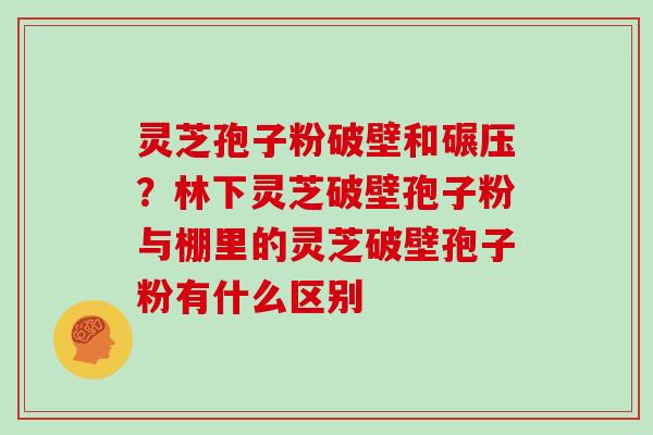 灵芝孢子粉破壁和碾压？林下灵芝破壁孢子粉与棚里的灵芝破壁孢子粉有什么区别