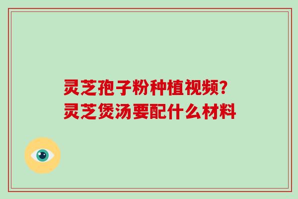 灵芝孢子粉种植视频？灵芝煲汤要配什么材料