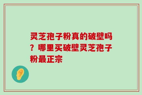 灵芝孢子粉真的破壁吗？哪里买破壁灵芝孢子粉正宗