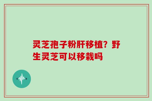 灵芝孢子粉移植？野生灵芝可以移栽吗