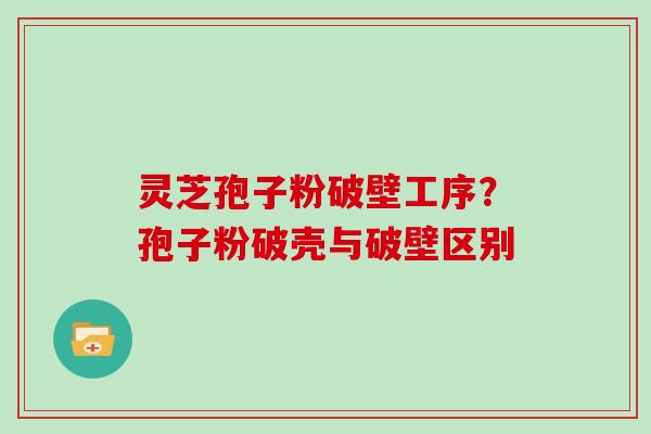 灵芝孢子粉破壁工序？孢子粉破壳与破壁区别