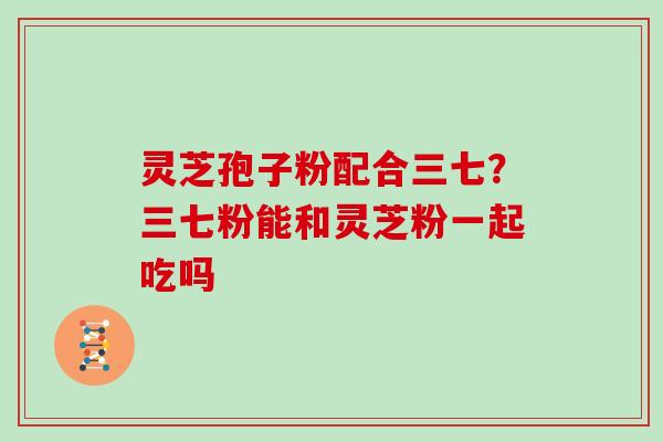 灵芝孢子粉配合三七？三七粉能和灵芝粉一起吃吗