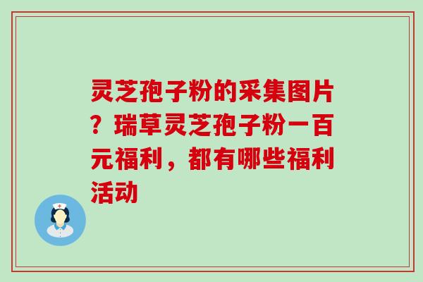 灵芝孢子粉的采集图片？瑞草灵芝孢子粉一百元福利，都有哪些福利活动