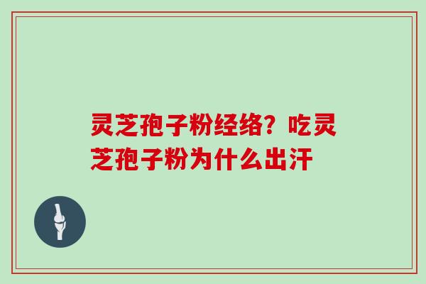 灵芝孢子粉经络？吃灵芝孢子粉为什么出汗