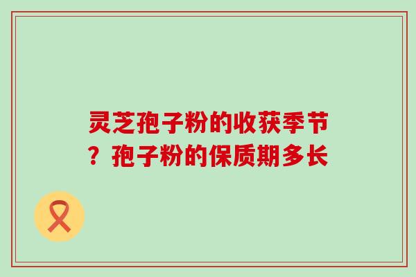 灵芝孢子粉的收获季节？孢子粉的保质期多长