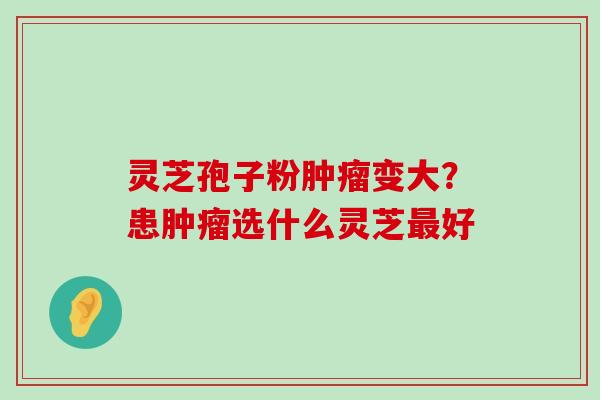 灵芝孢子粉变大？患选什么灵芝好