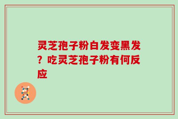 灵芝孢子粉白发变黑发？吃灵芝孢子粉有何反应