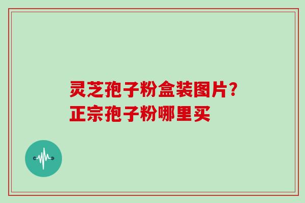 灵芝孢子粉盒装图片？正宗孢子粉哪里买